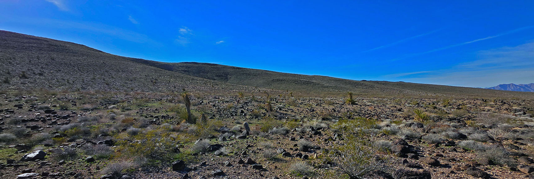 In 1 Mile at Base of Peeper Peak Loop Back to Start Point | Mohave Overlook | Eldorado Wilderness, Nevada