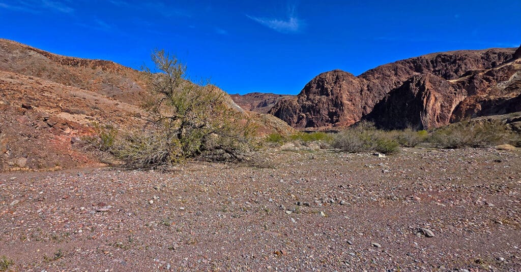 Lonesome Wash to the Colorado River | Eldorado Wilderness, Nevada