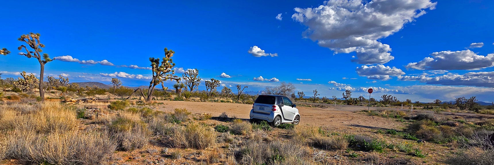 "The Beast" Parked at Intersection of Hwy 164 & E Joshua Tree Rd. | Wee Thump Joshua Tree Wilderness, Nevada