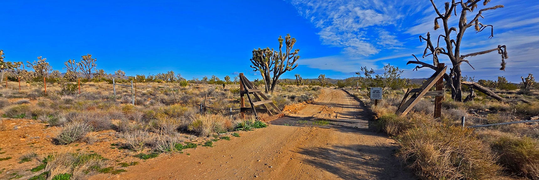 Pass Through the SE Entrance of Joshua Tree Wilderness | Wee Thump Joshua Tree Wilderness, Nevada
