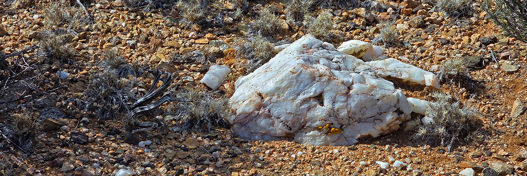 Many Beautiful Stray Chunks of Marble Scattered Throughout | Wee Thump Joshua Tree Wilderness, Nevada
