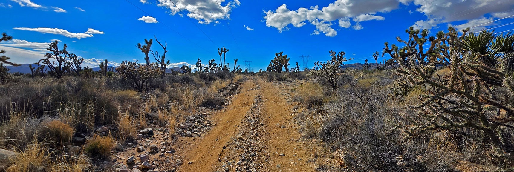 Turn Right onto Powerline Rd. and Continue To NW Edge of Wilderness. | Wee Thump Joshua Tree Wilderness, Nevada