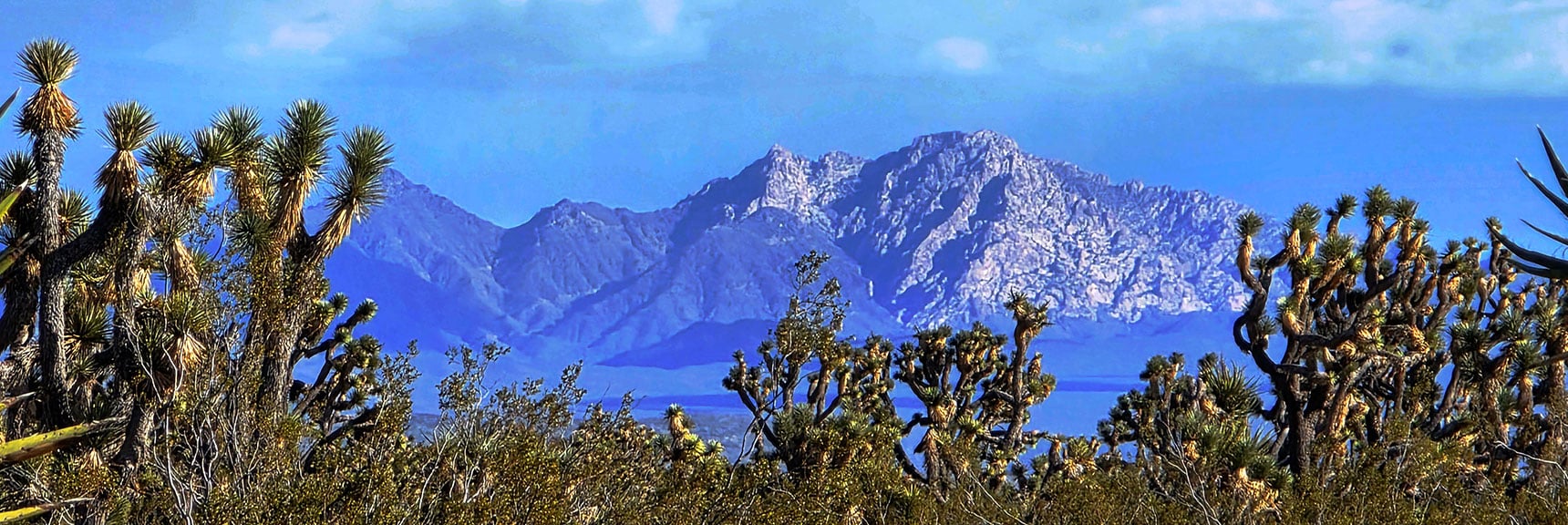 Spirit Mt. in the Lake Mohave/Laughlin Area Seen to the SE | Wee Thump Joshua Tree Wilderness, Nevada
