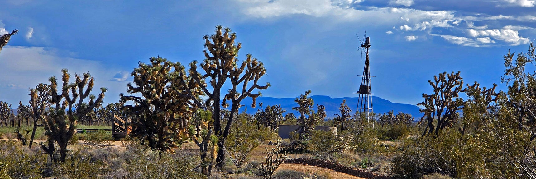 Back at the Windmill Water Pump/Corral Near SE End of East Road | Wee Thump Joshua Tree Wilderness, Nevada