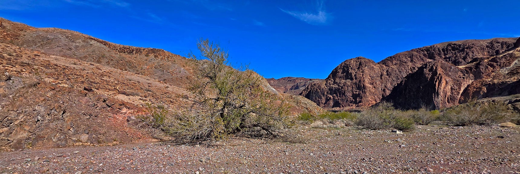 aka "The Lonesome Wash Marathon": Nelson Hills to Lonesome Wash Cove | Lonesome Wash to the Colorado River | Eldorado Wilderness, Nevada