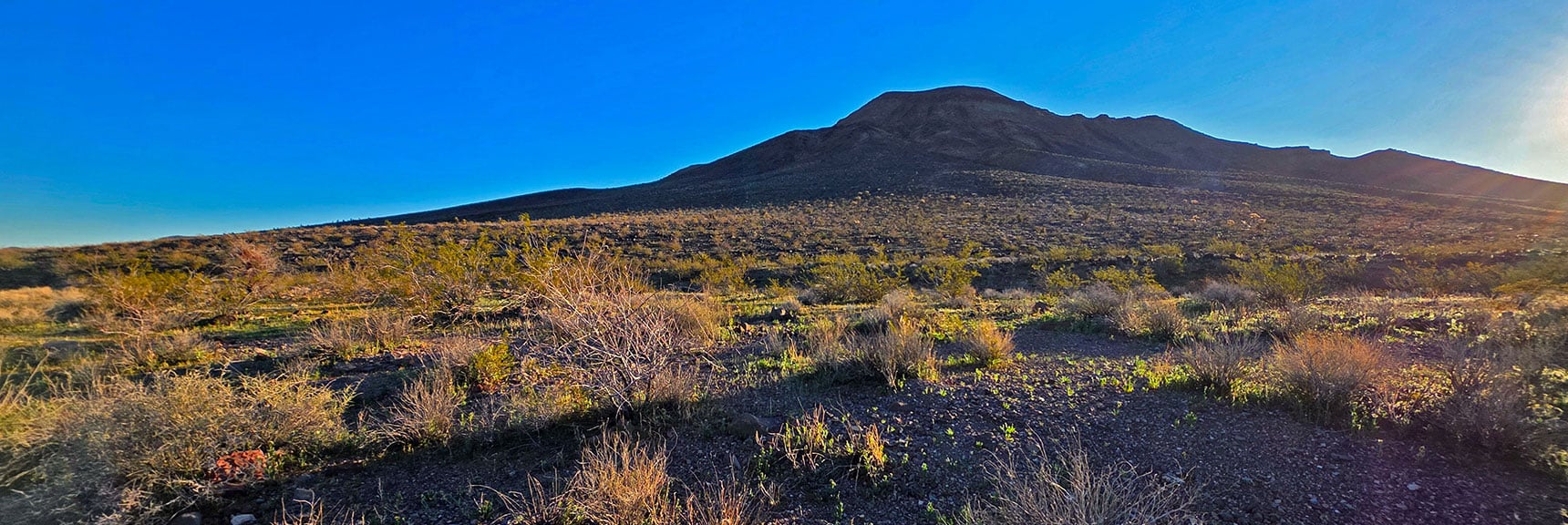 Will Catch Wilderness Rd. F at Base of Peeper Benchmark | Lonesome Wash to the Colorado River | Eldorado Wilderness, Nevada