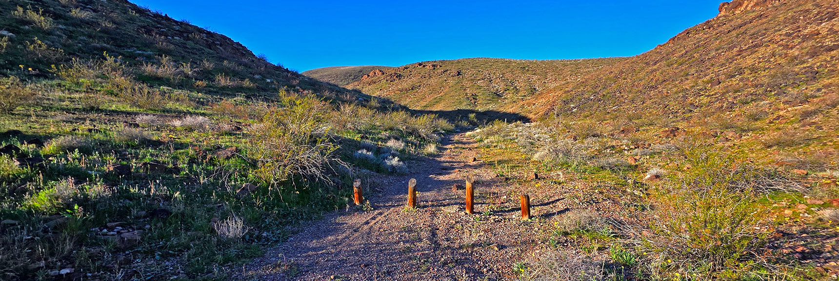 Old Road Takes You to Descent Gully in a Quarter Mile | Lonesome Wash to the Colorado River | Eldorado Wilderness, Nevada