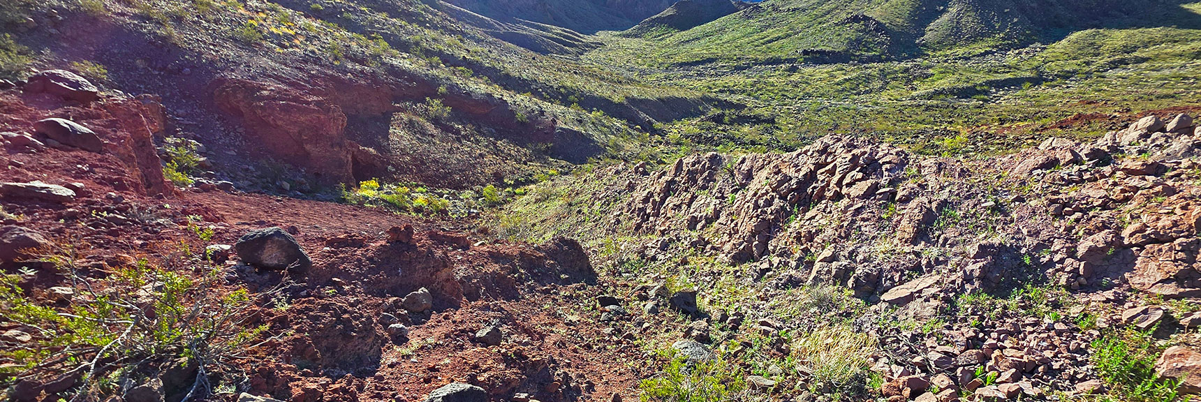 Here's the Initial Rocky Slope Entrance to Descent Gully. Not Difficult. | Lonesome Wash to the Colorado River | Eldorado Wilderness, Nevada