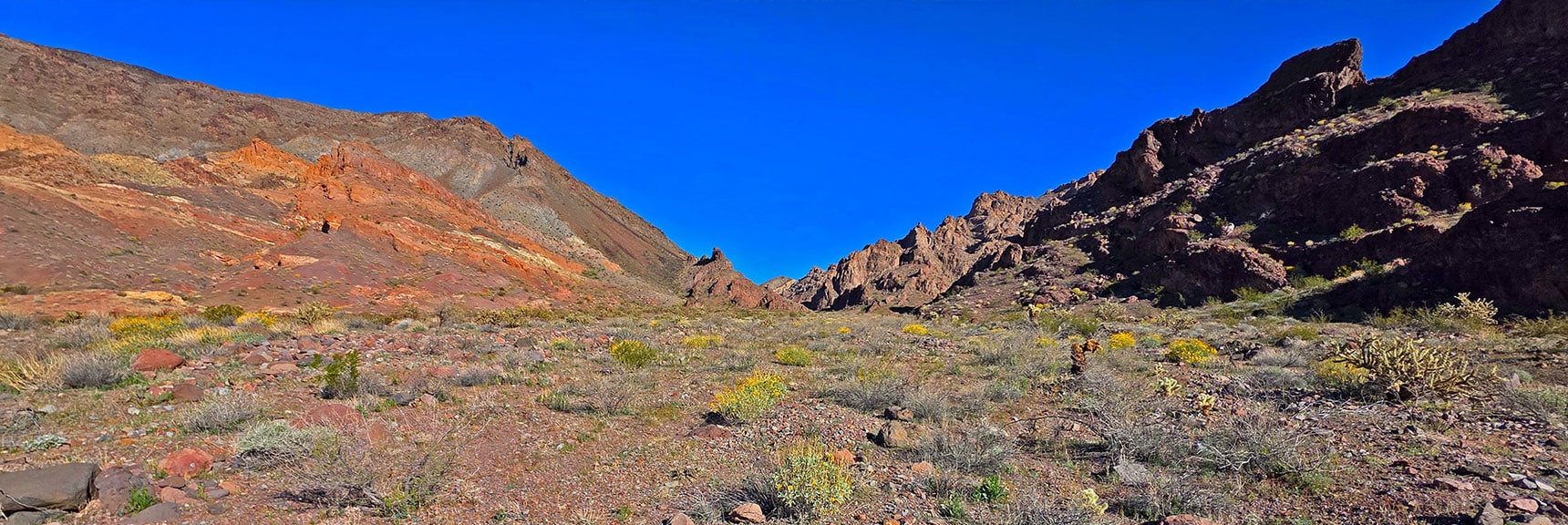 View Back Up Descent Gully. Note Small Striped Hill at Summit. Good Reference Point. | Lonesome Wash to the Colorado River | Eldorado Wilderness, Nevada