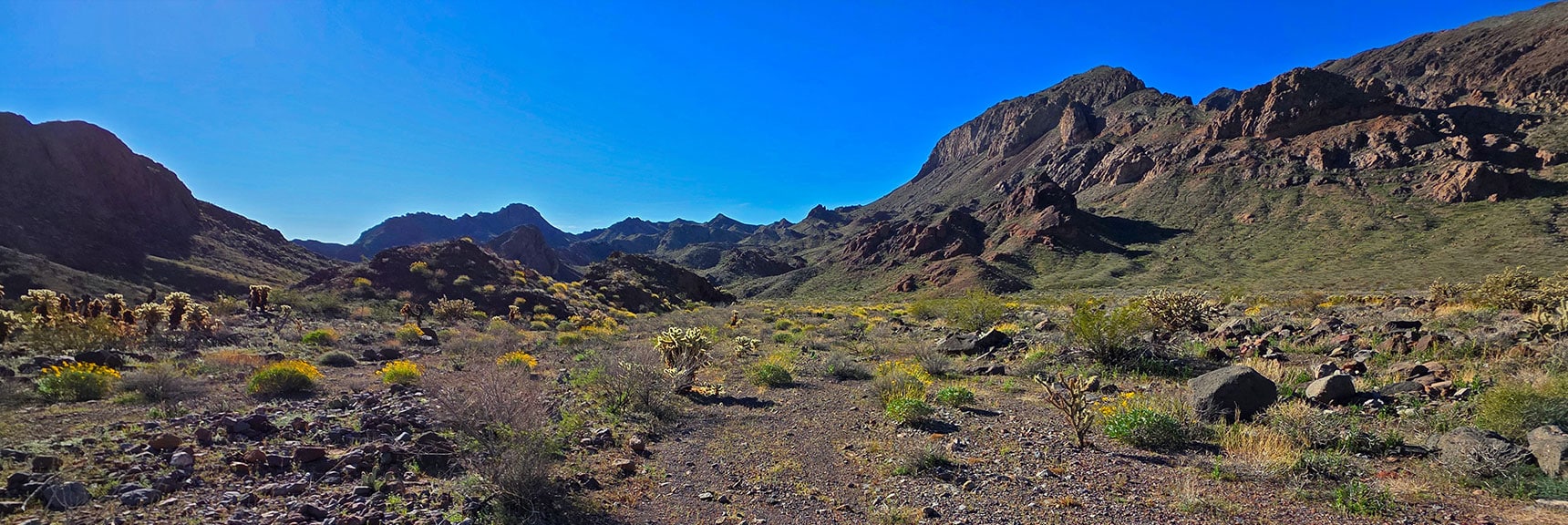 Left Turn, Head Down Lonesome Wash. Note Your Surroundings for Return. | Lonesome Wash to the Colorado River | Eldorado Wilderness, Nevada