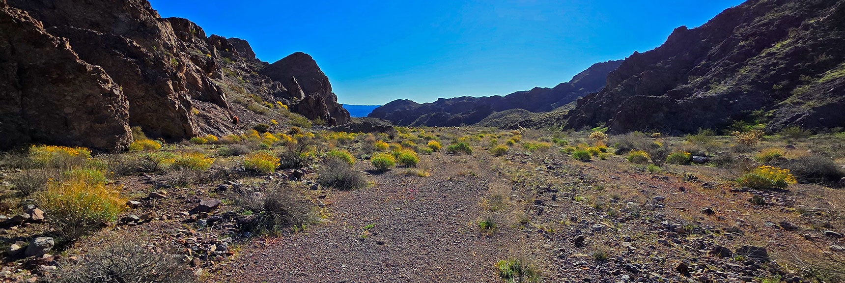 Distant Hills Across Colorado River in Arizona Seen Down End of Wash | Lonesome Wash to the Colorado River | Eldorado Wilderness, Nevada