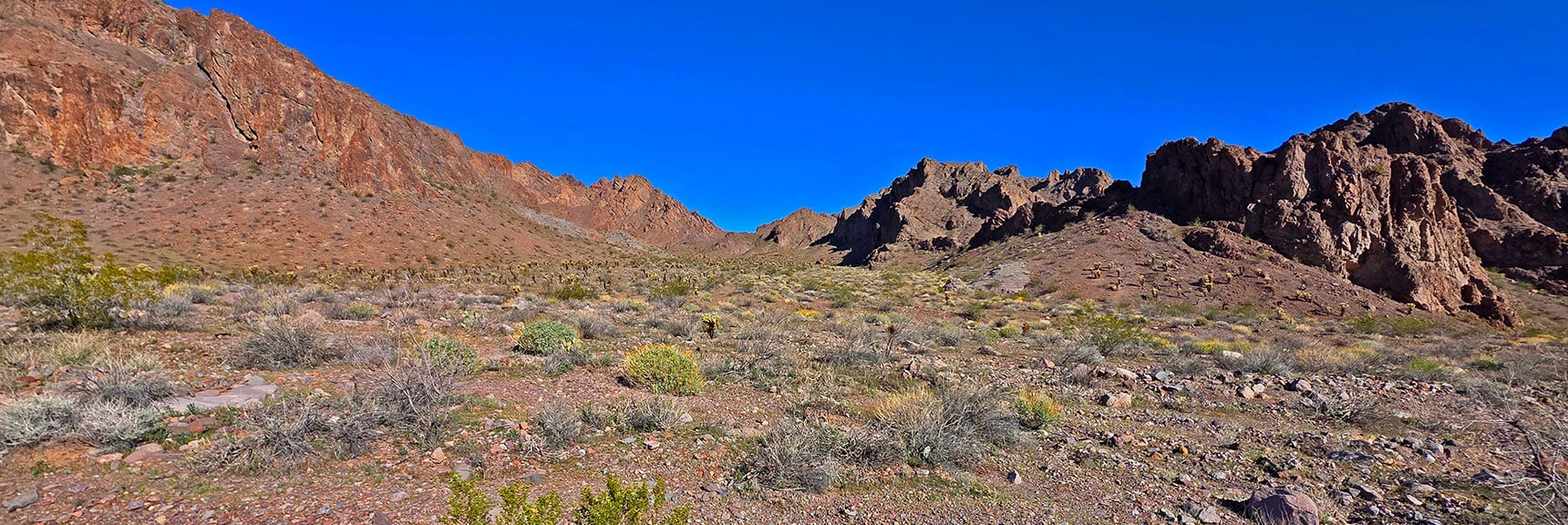 Volcanic Hills on North Side of Wash. Note the Tributary Gullies to Main Wash | Lonesome Wash to the Colorado River | Eldorado Wilderness, Nevada