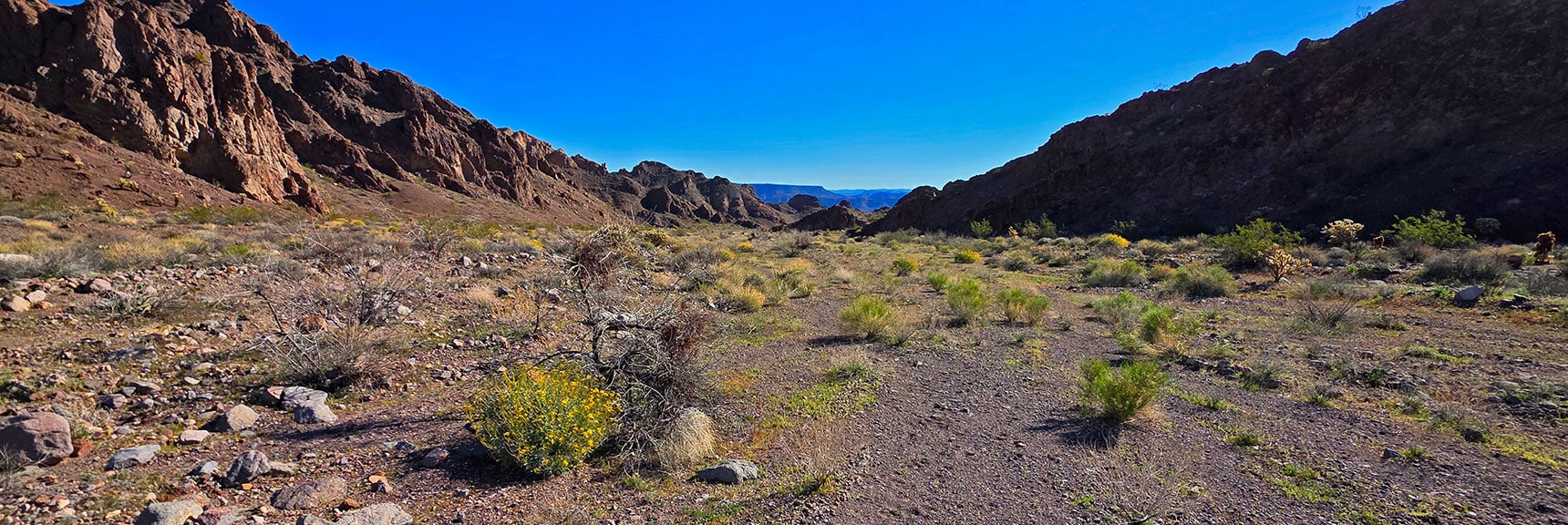 Further View Down Wash. Note the Gradual, Wide-Open Terrain in Wash. | Lonesome Wash to the Colorado River | Eldorado Wilderness, Nevada