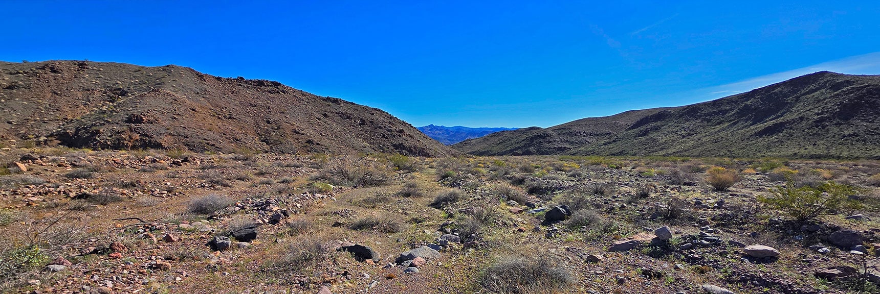 Further Down, Another Wide Open Area. Arizona Hills Seen in Distance. | Lonesome Wash to the Colorado River | Eldorado Wilderness, Nevada