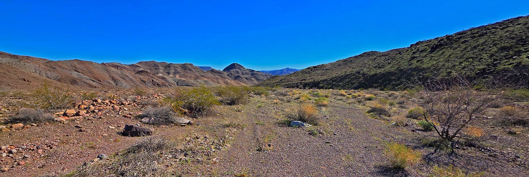 Surface Remains Firm, Gradual, Open Making Fast Progress Both Directions. | Lonesome Wash to the Colorado River | Eldorado Wilderness, Nevada