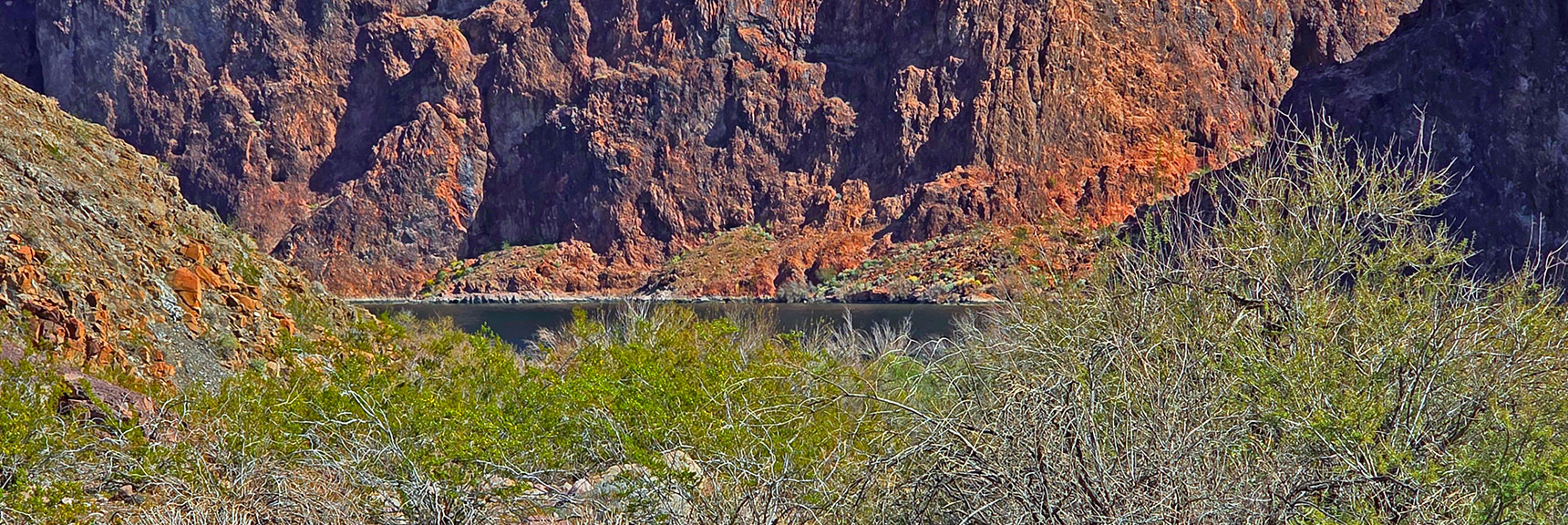 Unexpected Impenetrable Brush & Thorn Wall Blocks Final 100 Feet! | Lonesome Wash to the Colorado River | Eldorado Wilderness, Nevada