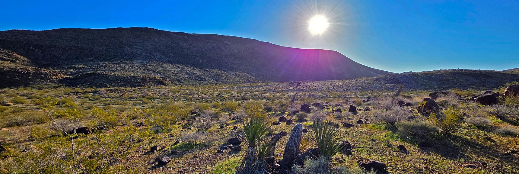 Wash Entrance to Right of Overlook Mesa. Morning Sun Blinds Approach Route | Lonesome Wash Upper Entrance | Eldorado Wilderness, Nevada