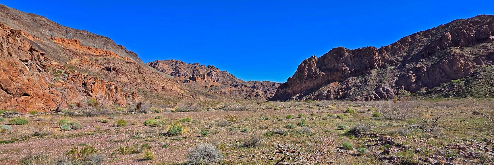 Continue Down Wash. Remote, Pristine Heart of Eldorado Wilderness. | Lonesome Wash Upper Entrance | Eldorado Wilderness, Nevada