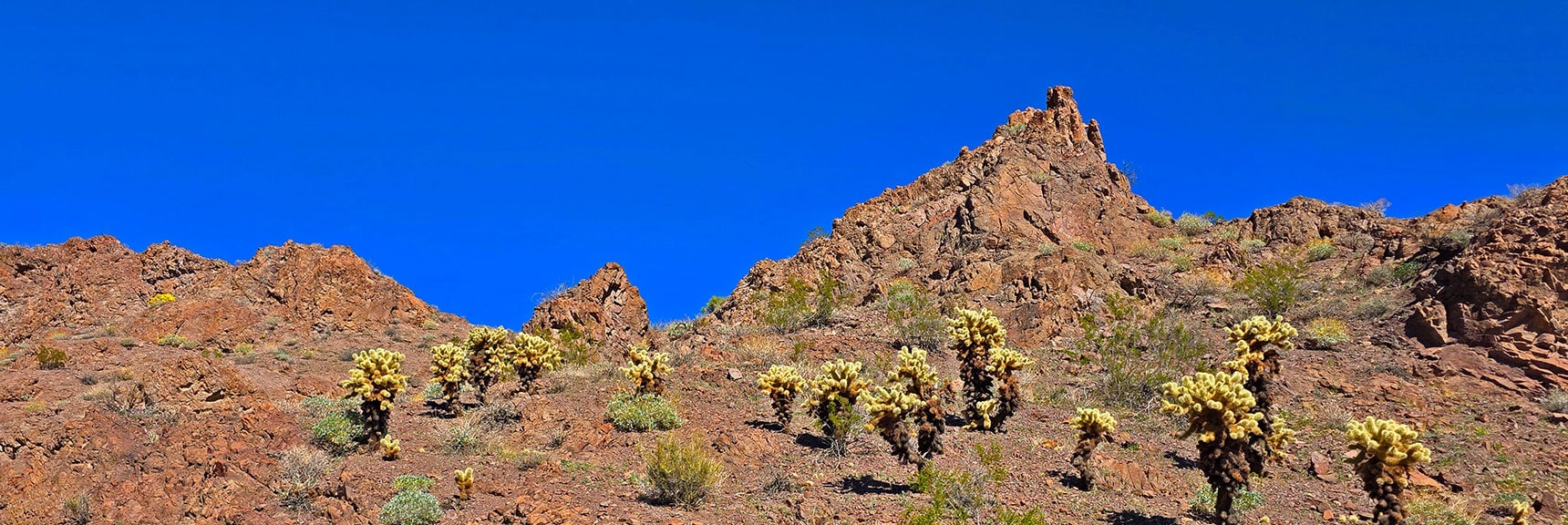 Many Unique Hidden Desert Scenes All Along Lonesome Wash. | Lonesome Wash Upper Entrance | Eldorado Wilderness, Nevada