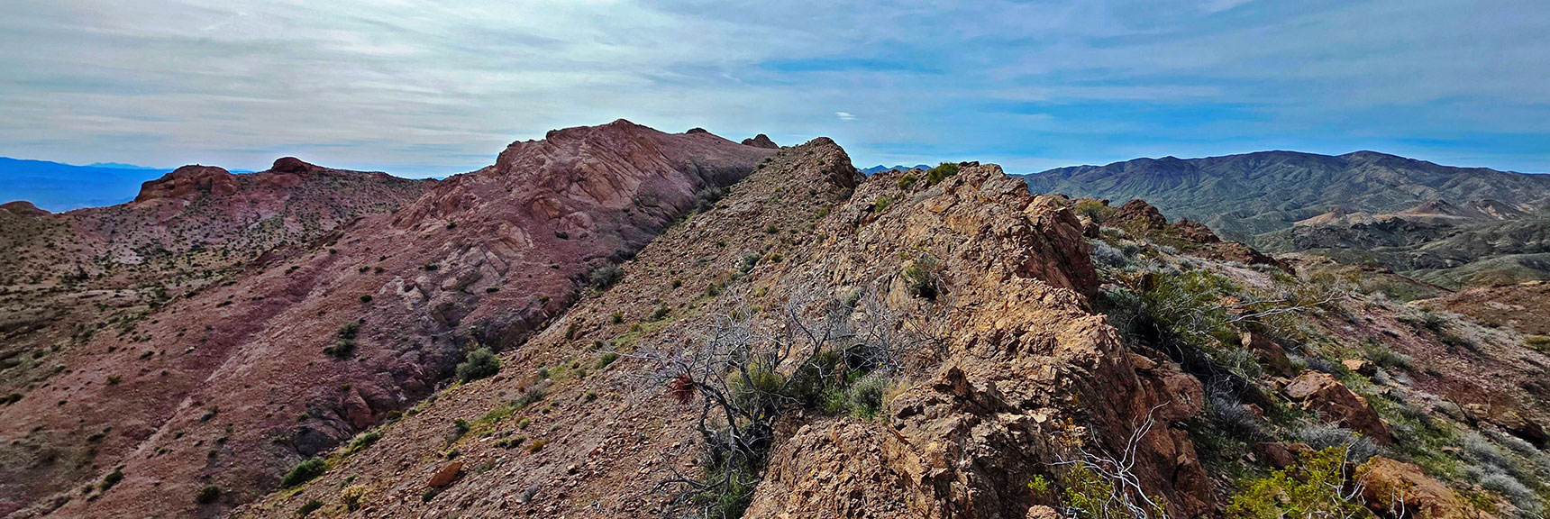 View South Along Ridgeline Toward Nelson Benchmark, Not Yet Visible. | Nelson Benchmark | Eldorado Wilderness, Nevada