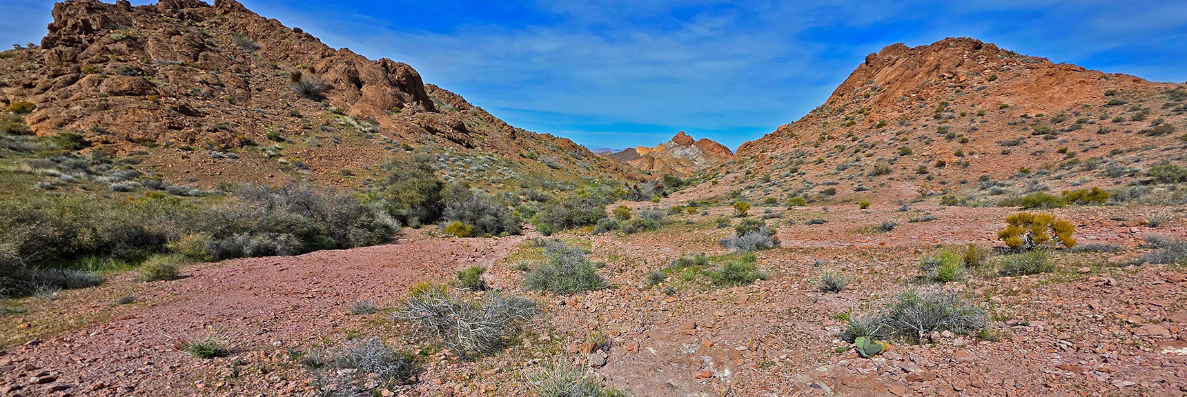 Crossing Canyon Below, North of Nelson Benchmark. | Nelson Benchmark | Eldorado Wilderness, Nevada