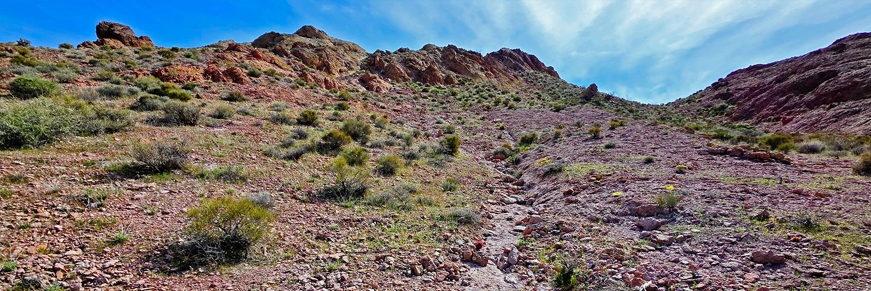 View Back Up Canyon Toward Nelson Benchmark | Nelson Benchmark | Eldorado Wilderness, Nevada
