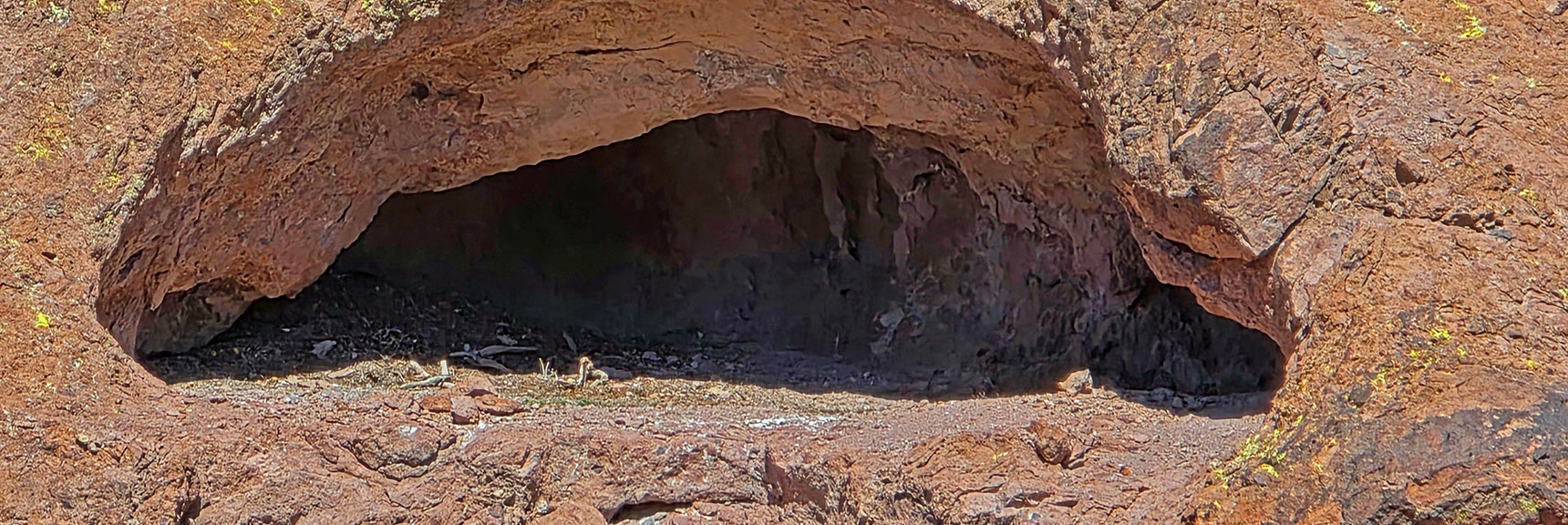 Are Those Bones on the Cave Floor? | Murl Emery Arch | Eldorado Wilderness, Nevada