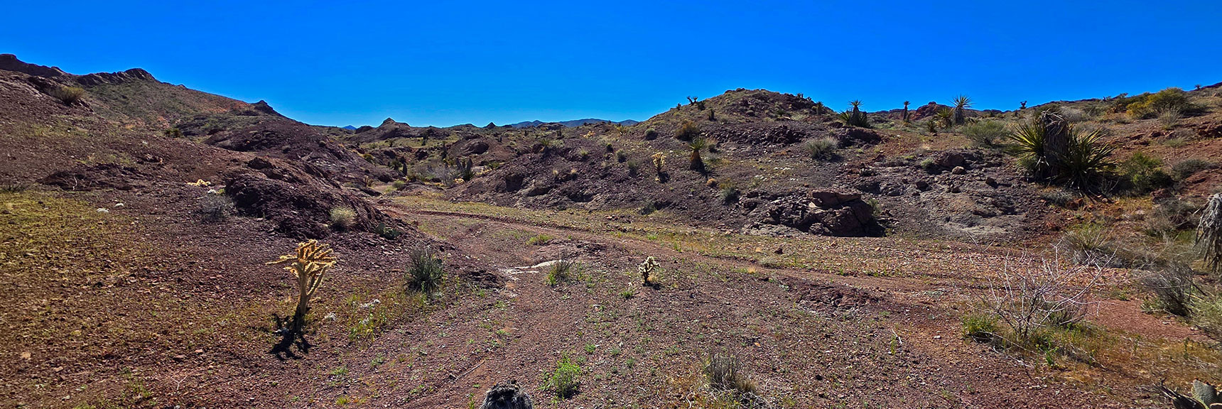 Descent Back to Techatticup Wash Was Fast: 30 min from Pass to Hwy 165. | Murl Emery Arch | Eldorado Wilderness, Nevada
