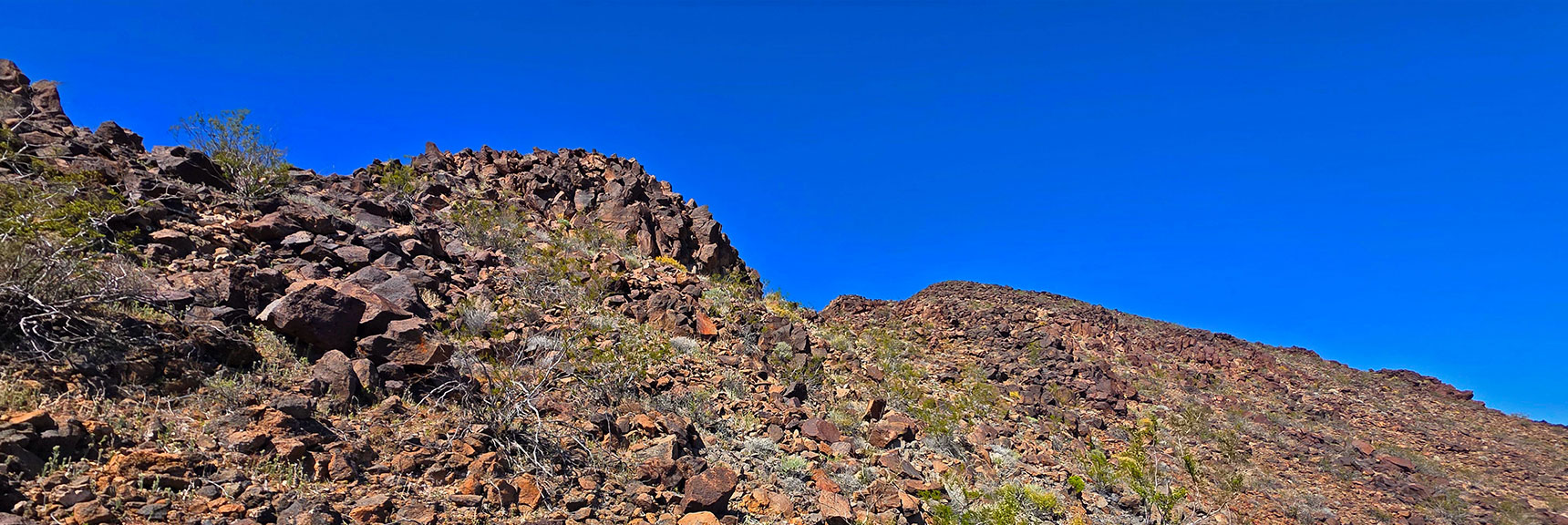 South Saddle is Easiest Approach to Peeper Summit from E or W. | Pilot Cone | Pilot Mesa | Peeper Benchmark | Eldorado Wilderness, Nevada