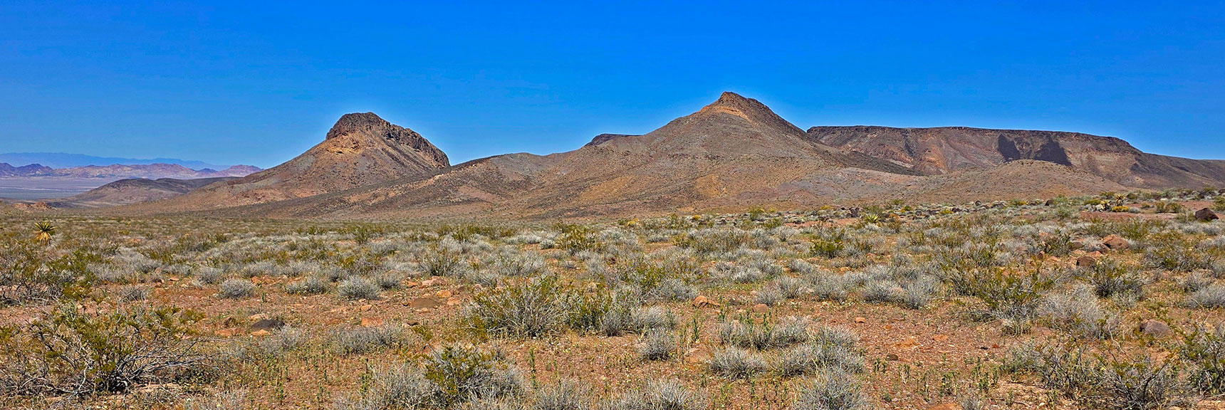 Shortly Leave Road N to Pilot Mesa SE Approach Slope (right). | Pilot Cone | Pilot Mesa | Peeper Benchmark | Eldorado Wilderness, Nevada