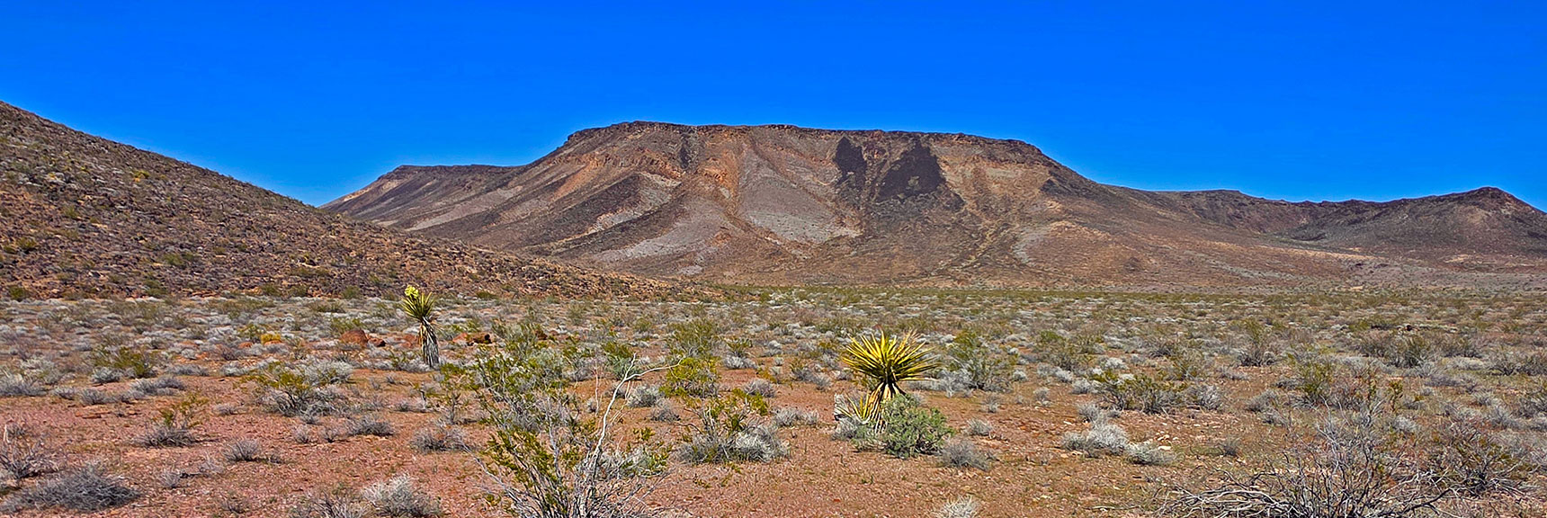 Much of Pilot Mesa S and W Side Has Vertical Headwall | Pilot Cone | Pilot Mesa | Peeper Benchmark | Eldorado Wilderness, Nevada