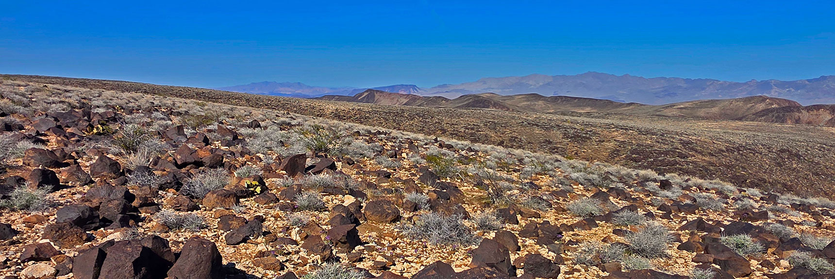 Pilot Mesa's 1 X 1/4th Mile Summit is its Own Massive Hidden World! | Pilot Cone | Pilot Mesa | Peeper Benchmark | Eldorado Wilderness, Nevada