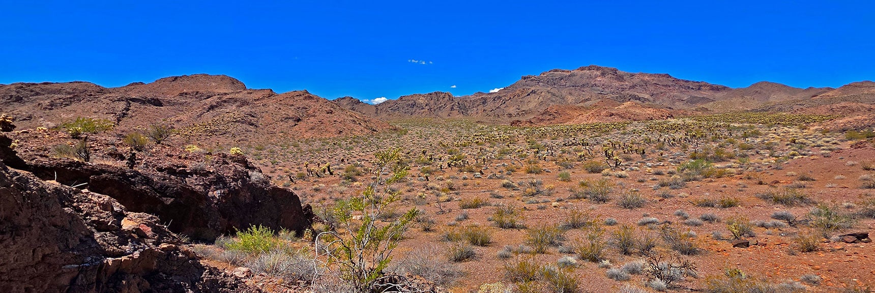 View Back Up North Lonesome Wash. Forlorn Hope Peak on Right | Forlorn Hope Peak South and Peak 2720 West, Eldorado Wilderness, Nevada