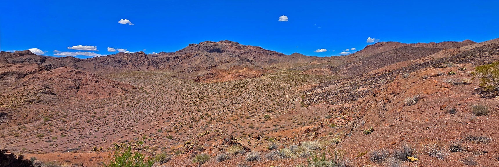 Forlorn Hope Peak (middle horizon) from West Ridge | Forlorn Hope Peak South and Peak 2720 West, Eldorado Wilderness, Nevada