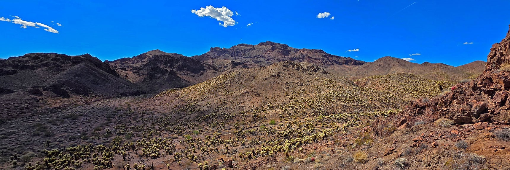 Round Left Side of Ridgeline, Then Ascend Gullies Toward Forlorn Hope Peak | Forlorn Hope Peak South and Peak 2720 West, Eldorado Wilderness, Nevada