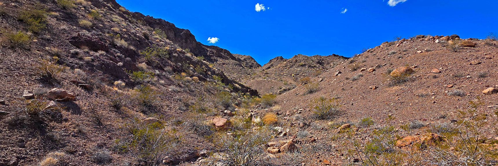 Ascending Gullies Toward Forlorn Hope Peak | Forlorn Hope Peak South and Peak 2720 West, Eldorado Wilderness, Nevada