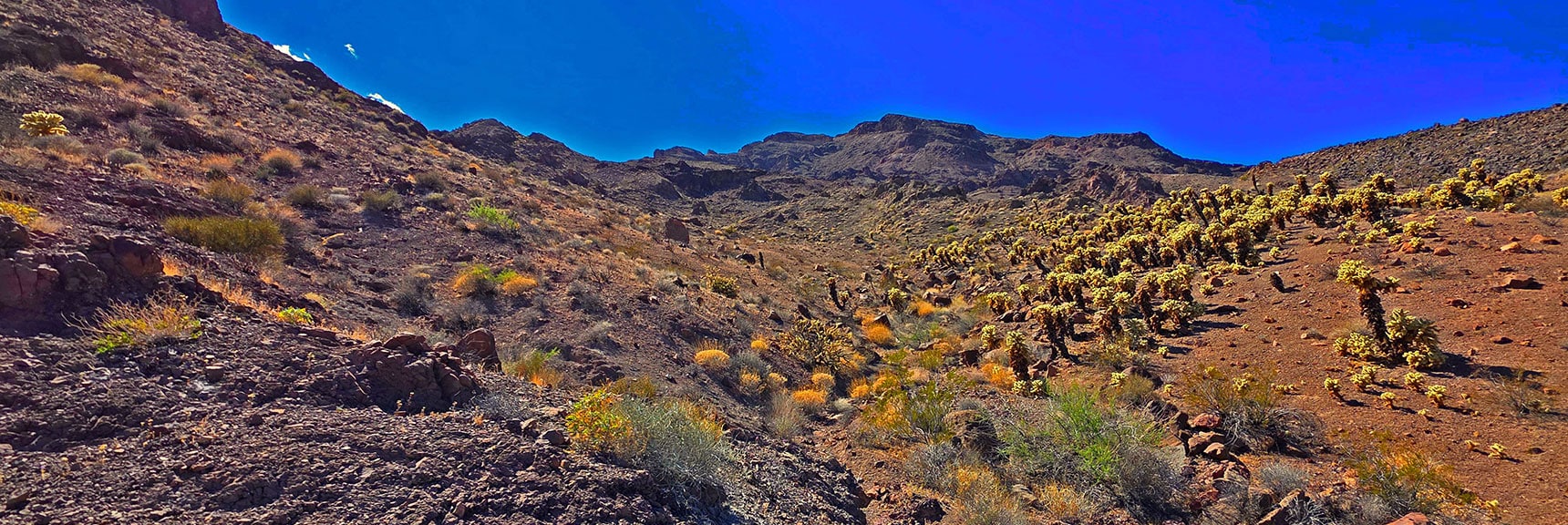 Continue Upward. Eventually Cross Over 2 Gullies to Right. | Forlorn Hope Peak South and Peak 2720 West, Eldorado Wilderness, Nevada