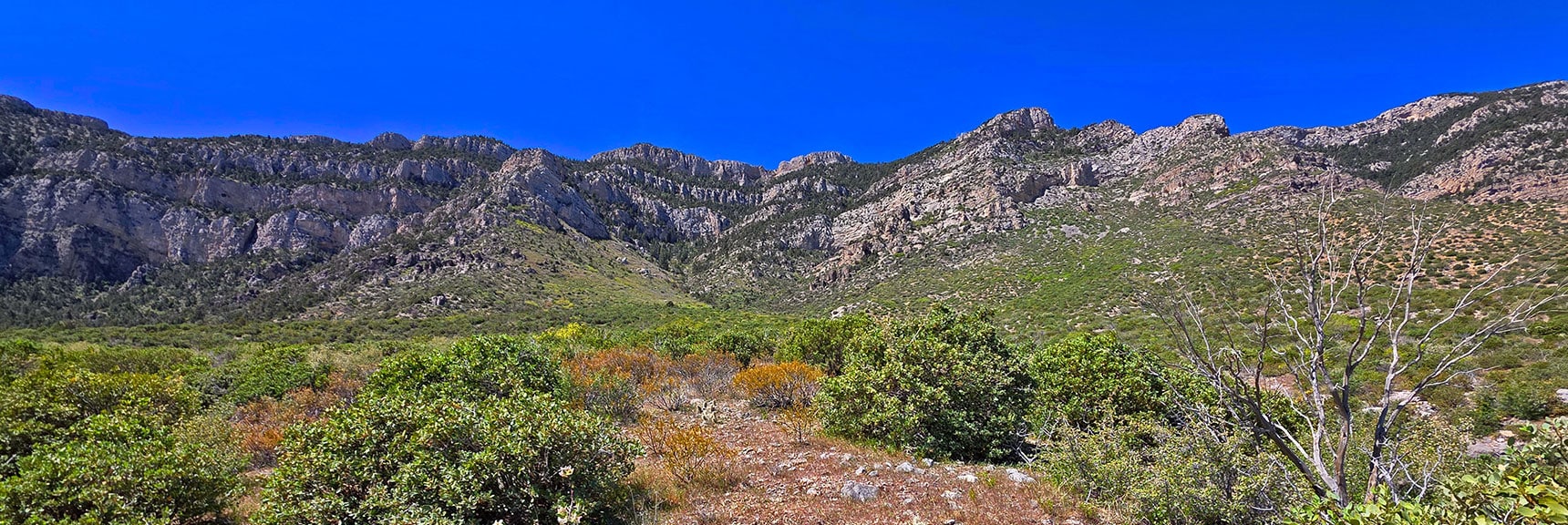 Ascend Gully on Right Side of Ridgeline to the Left; Cross Summit to Crash Gully. | Carole Lombard Plane Crash Site | Potosi Mountain, Nevada