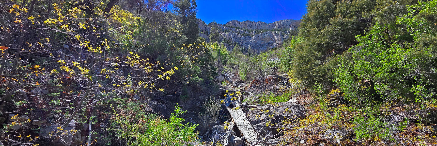 Leave Cottonwood West Rd. to Begin Ascent Gully Along North Base of Ridge. | Carole Lombard Plane Crash Site | Potosi Mountain, Nevada