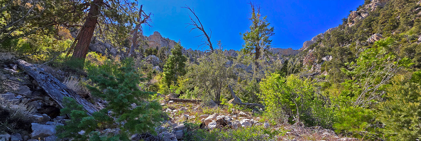 Midway Up Gully, Angle Left Sharply Upward. Watch for Very Faint Path | Carole Lombard Plane Crash Site | Potosi Mountain, Nevada