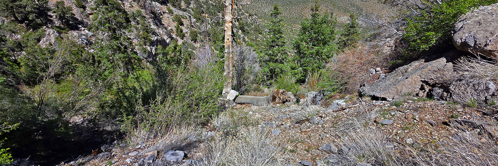 View Back Down to the Gully During Steep Ascent. | Carole Lombard Plane Crash Site | Potosi Mountain, Nevada