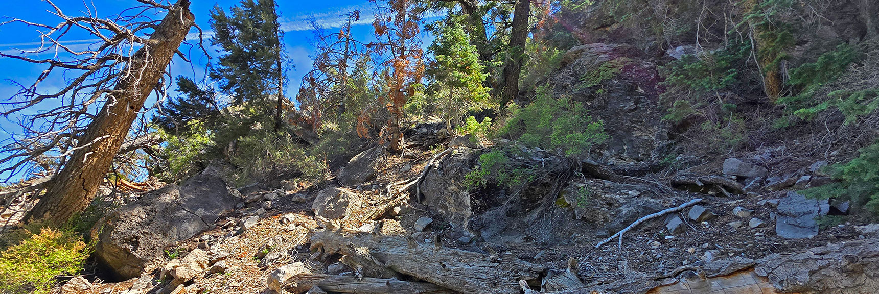 Keep to the Left Base of the Cliffs, Ascending a Narrow Opening | Carole Lombard Plane Crash Site | Potosi Mountain, Nevada