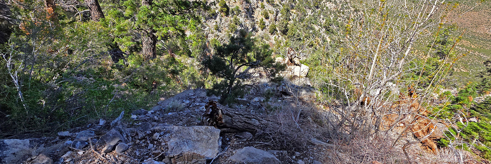 View Back Down While Ascending Steep Slope. | Carole Lombard Plane Crash Site | Potosi Mountain, Nevada
