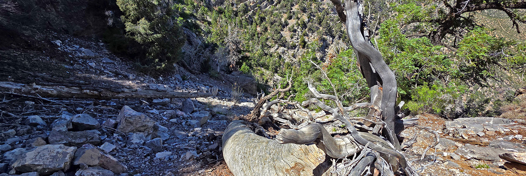 View Back Down Steepest Part of Ascent. | Carole Lombard Plane Crash Site | Potosi Mountain, Nevada