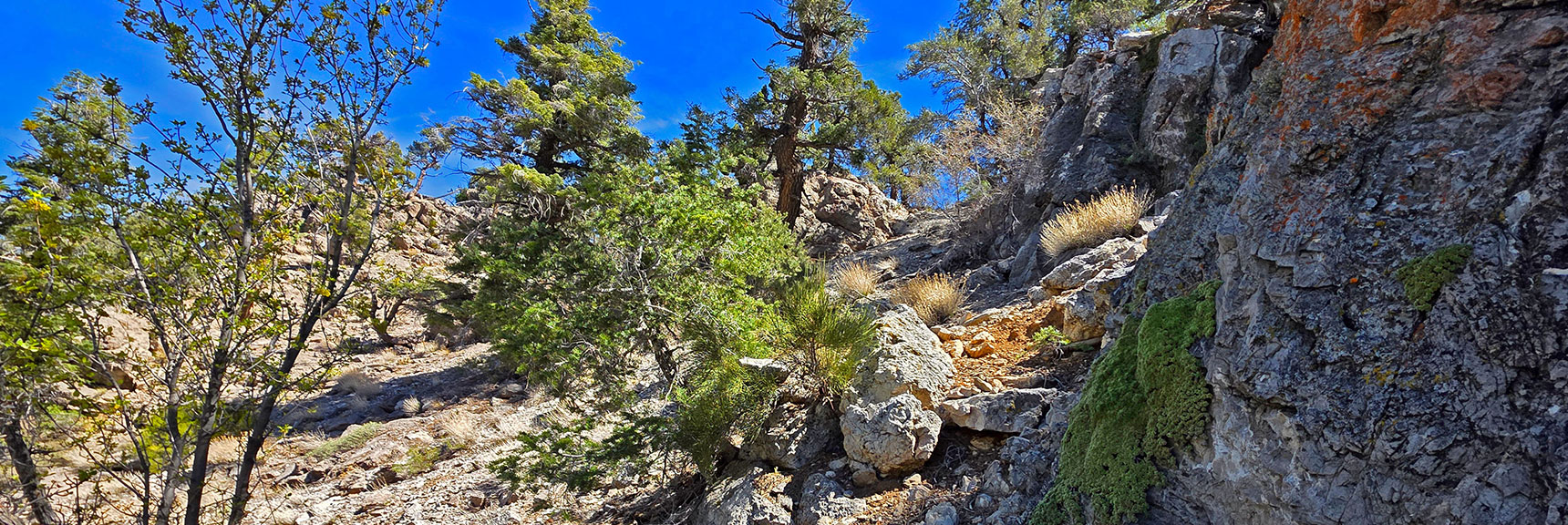 Final Ascent to Upper Ridgeline. | Carole Lombard Plane Crash Site | Potosi Mountain, Nevada