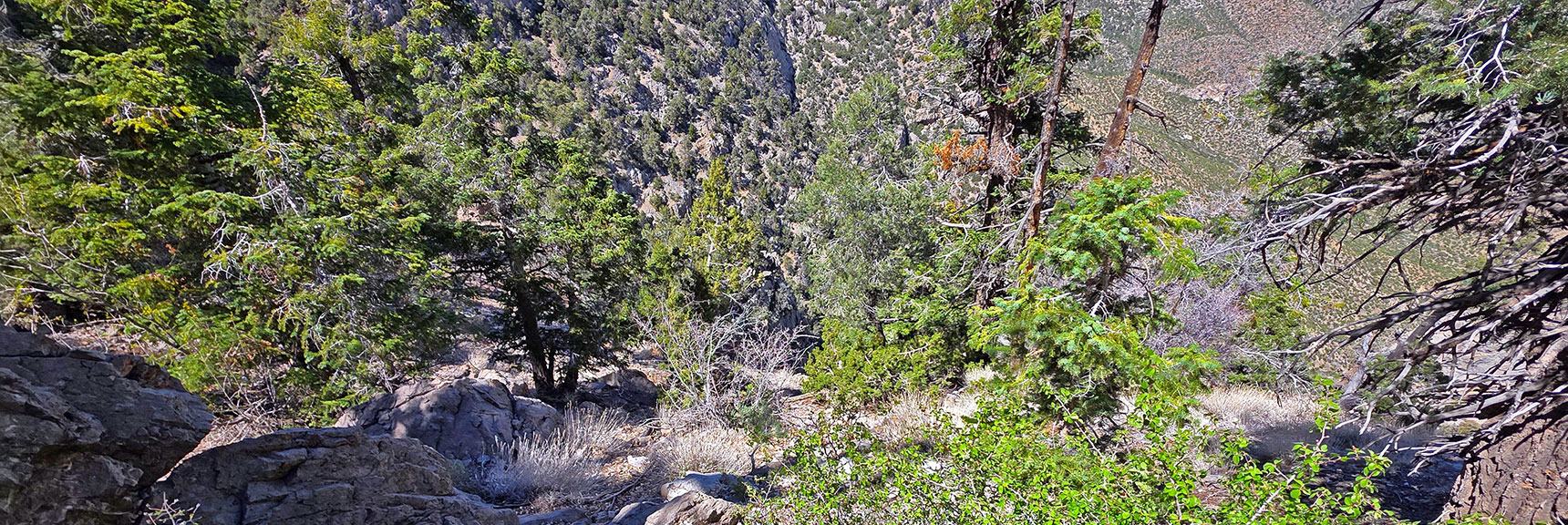 Higher View Down Steep Slope. Will Retrace Exact Ascent Route During Return. | Carole Lombard Plane Crash Site | Potosi Mountain, Nevada