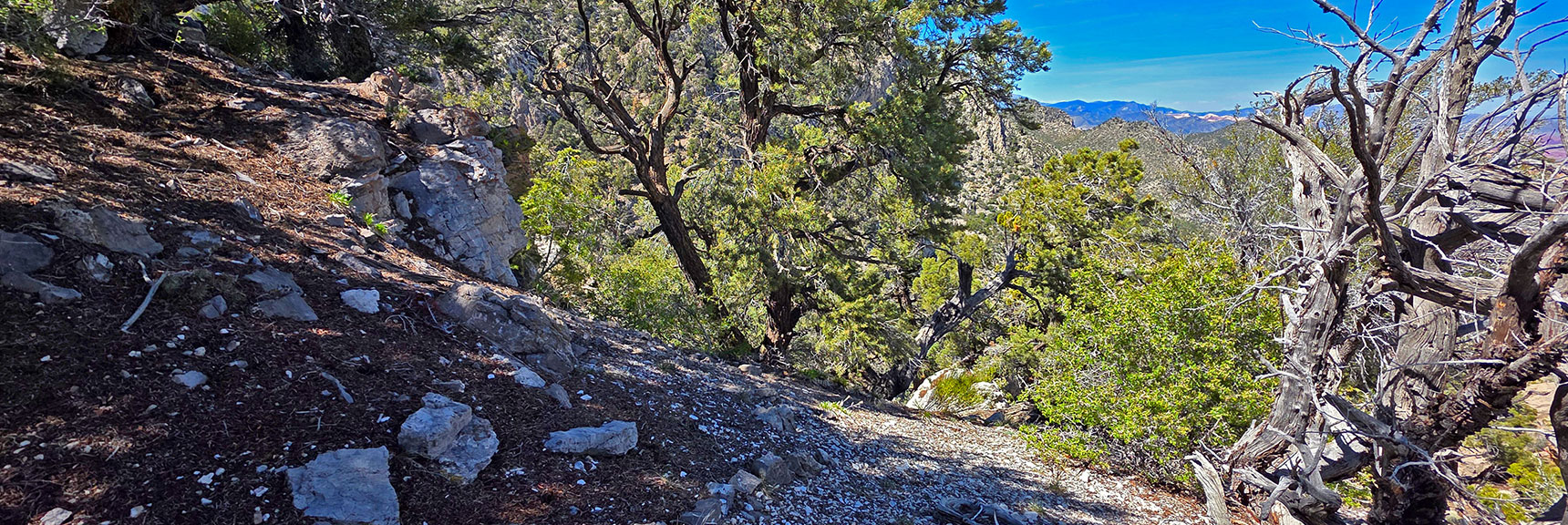Arrival at Ridgeline Center, Remember Look of Final Approach! | Carole Lombard Plane Crash Site | Potosi Mountain, Nevada