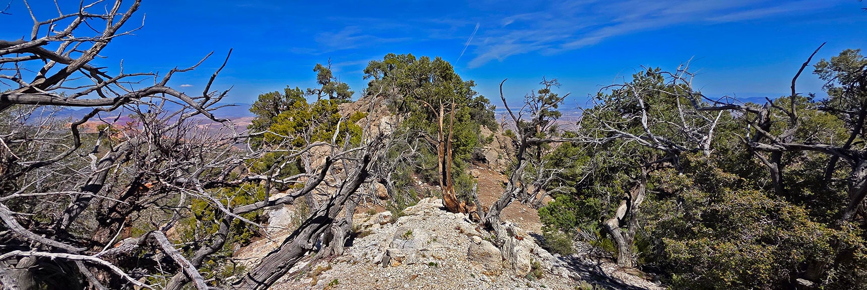 Plateau on Center of Ridgeline. Remember This Exact Point for Return Trip. | Carole Lombard Plane Crash Site | Potosi Mountain, Nevada