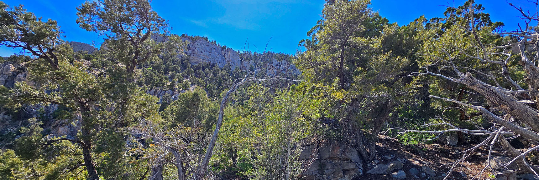 Cross Ridgeline, Descend to Gully Below, Ascend Gully to Impact Cliffs. | Carole Lombard Plane Crash Site | Potosi Mountain, Nevada