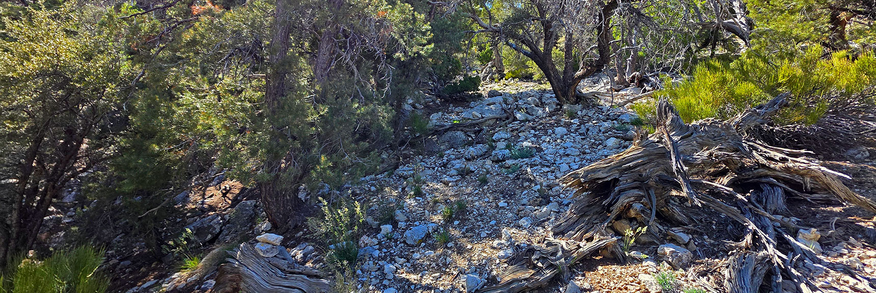 There is an Occasional Cairn and Ribbon Helping Guide Path to Crash Site. | Carole Lombard Plane Crash Site | Potosi Mountain, Nevada